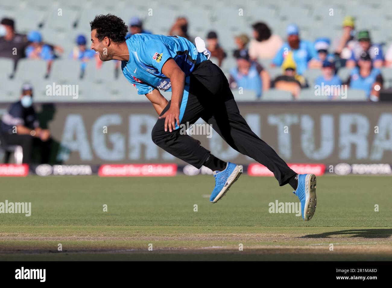 Adelaide, Australia, 23 dicembre 2021. Chris Lynn di Brisbane Heat catturato da Harry Nielsen di Adelaide Strikers bowled Wes Agar di Adelaide Strikers durante la partita di cricket della Big Bash League tra Adelaide Strikers e Brisbane Heat all'Adelaide Oval il 23 dicembre 2021 ad Adelaide, Australia. Credit: Peter Mundy/Speed Media/Alamy Live News Foto Stock