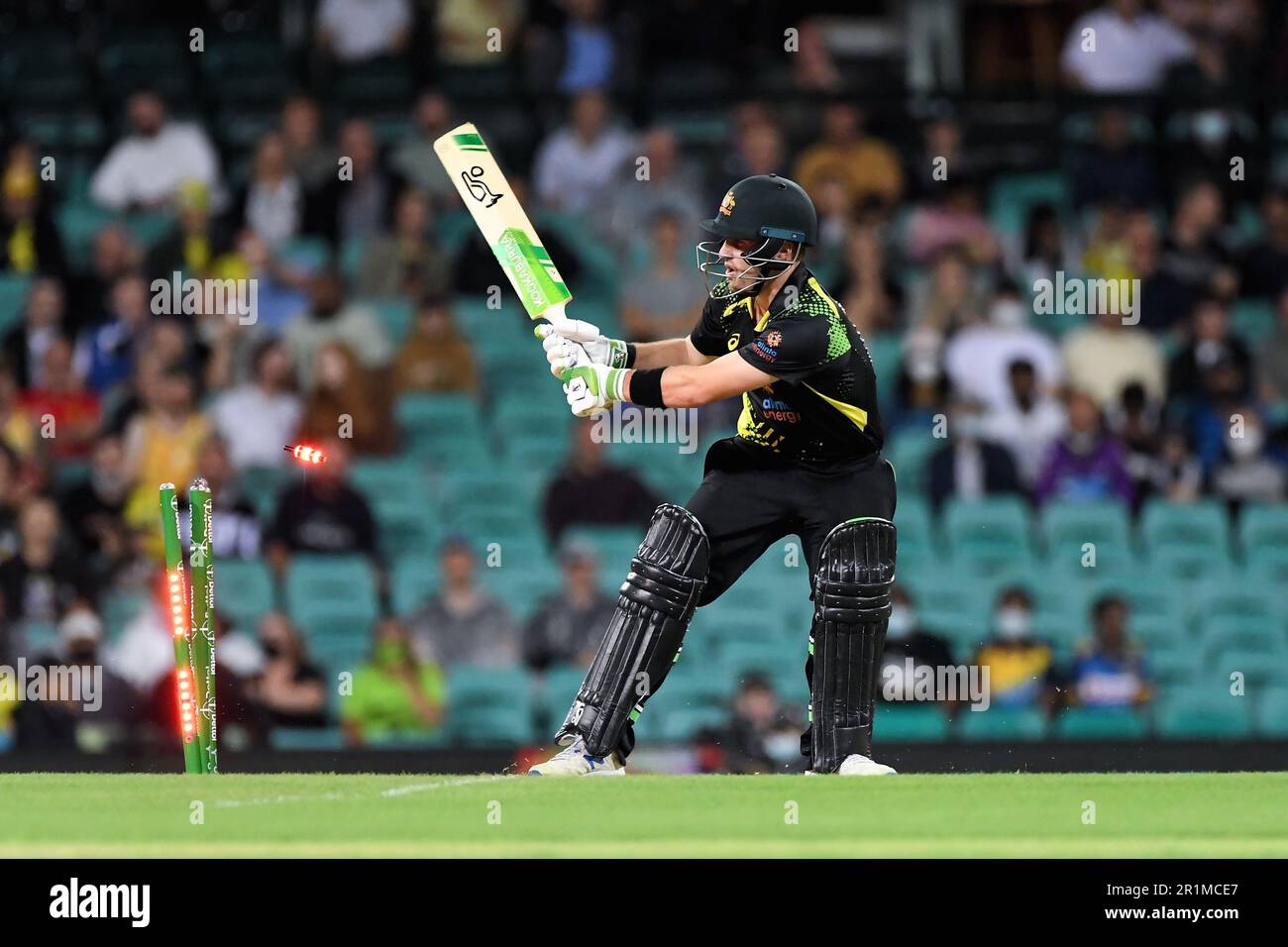 Sydney, Australia, 11 febbraio 2022. Josh Inglis of Australia è uscito durante il T20° incontro internazionale di cricket tra Australia e Sri Lanka al Sydney Cricket Ground il 11 febbraio 2022 a Sydney, Australia. Credit: Steven Markham/Speed Media/Alamy Live News Foto Stock