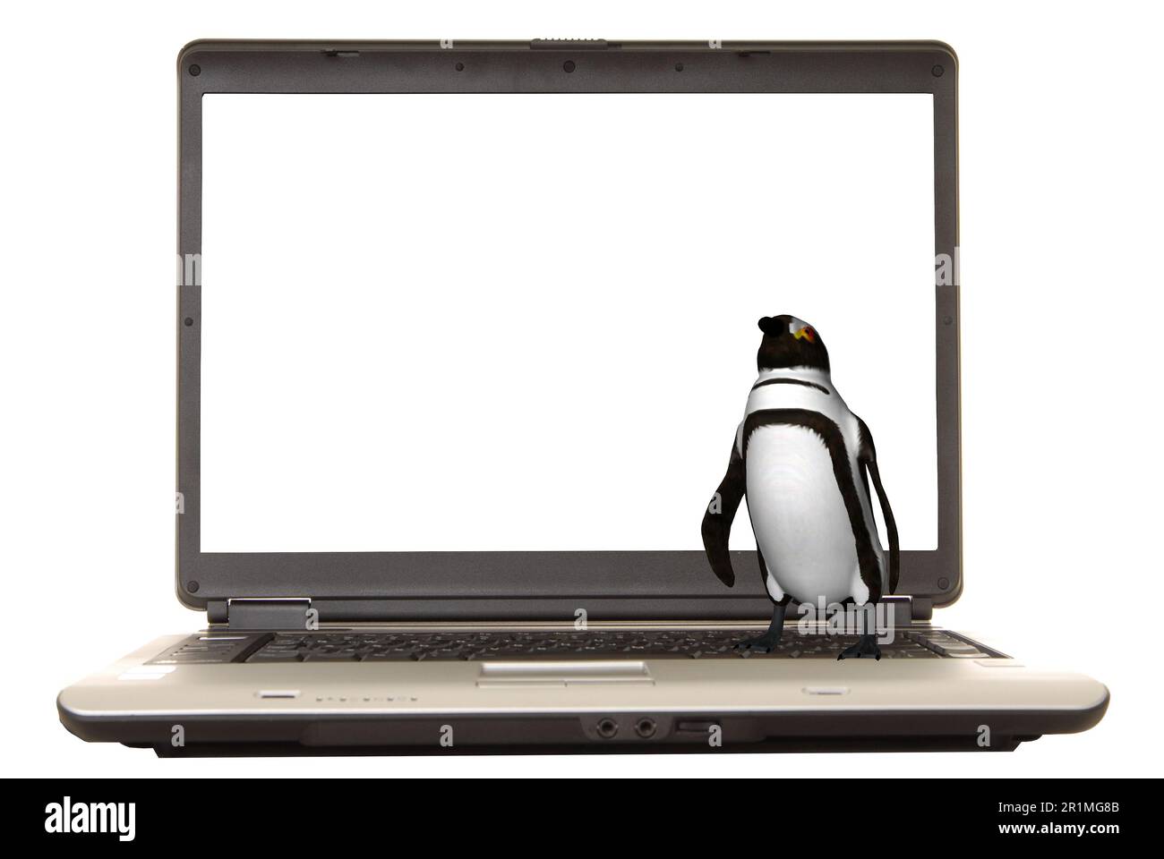 Computer portatile con un pinguino illustrato sulla tastiera Foto Stock