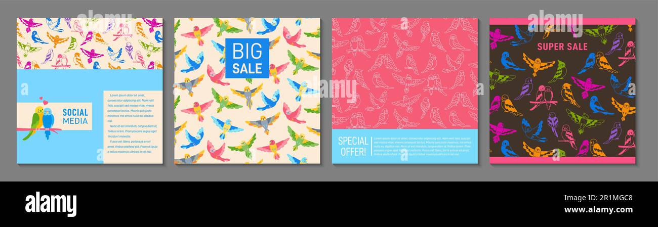 Parrot tropicale trendy cover o cartoni animati quadrati set di design. Estate luminoso esotico uccello modello volantino pagina, notebook pianificatore. Brochure social media decorativo hawaiano naturale pagina sfondo vettoriale Illustrazione Vettoriale