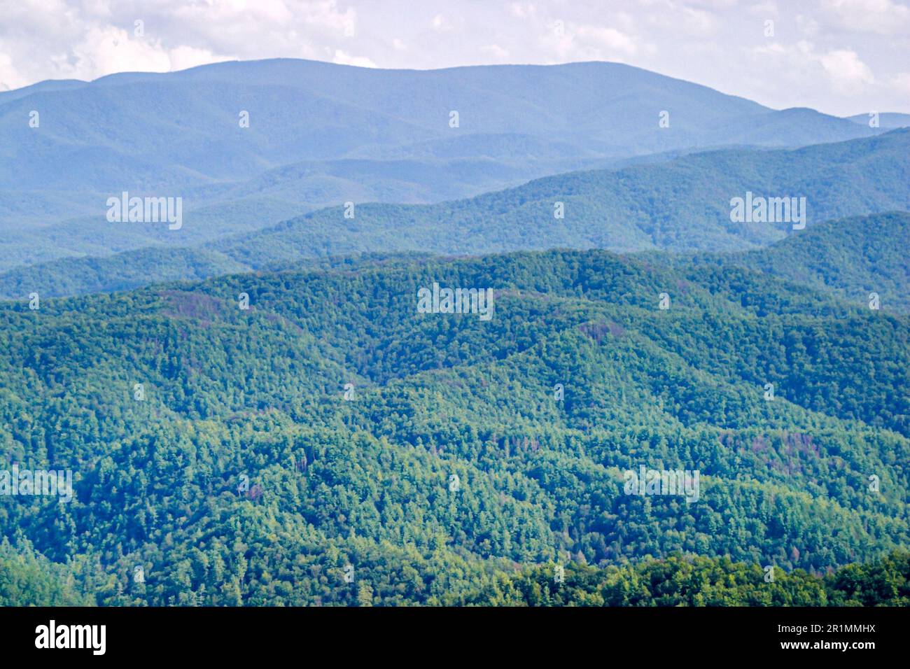 Tennessee Great Smoky Mountains National Park, Appalachians meridionale, destinazione di vacanza, rurale, paese, campagna, rustico, natura, naturale, visitatori della strada Foto Stock