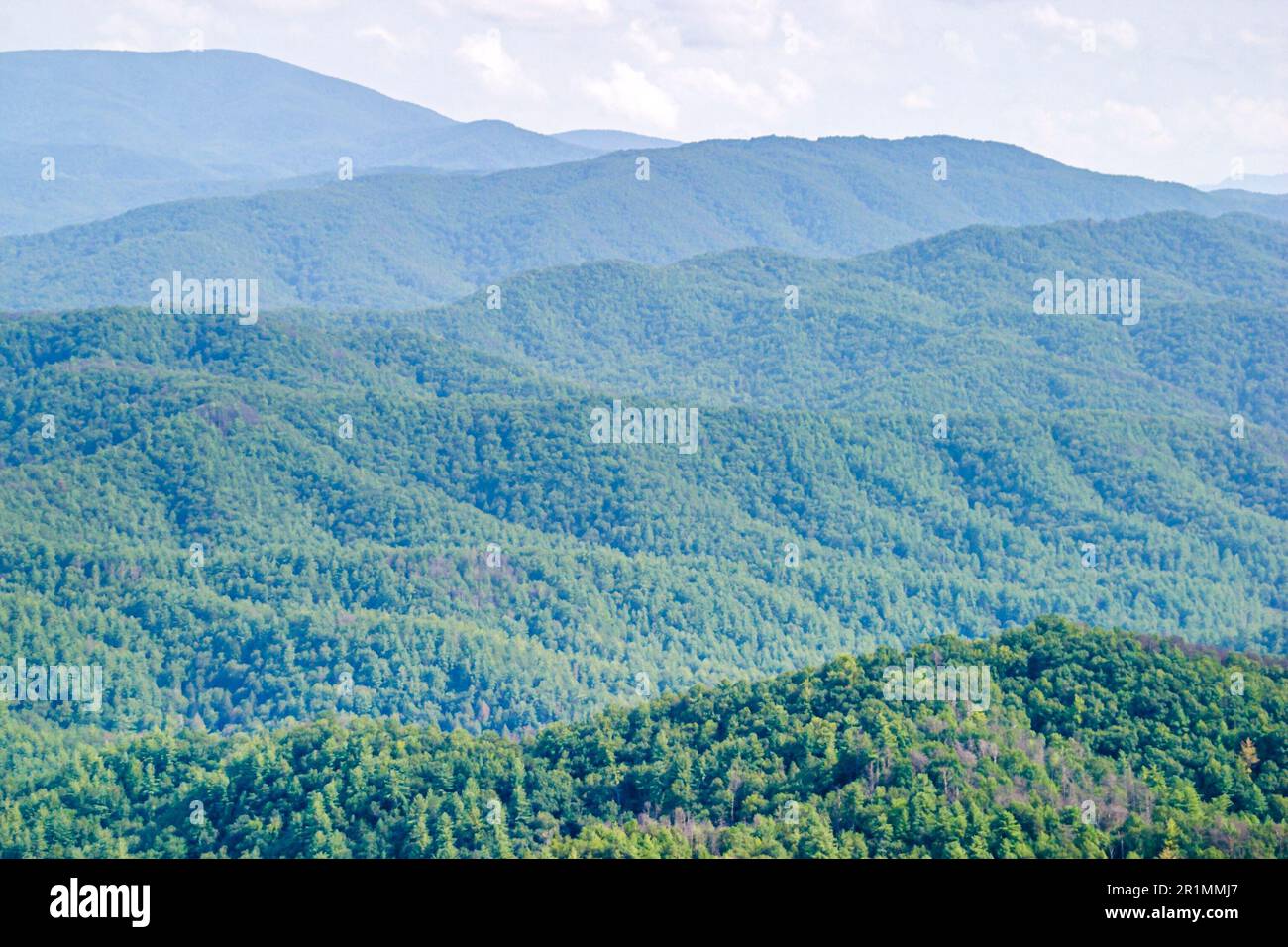 Tennessee Great Smoky Mountains National Park Appalachian meridionale, paesaggio naturale creste panoramiche, Foto Stock