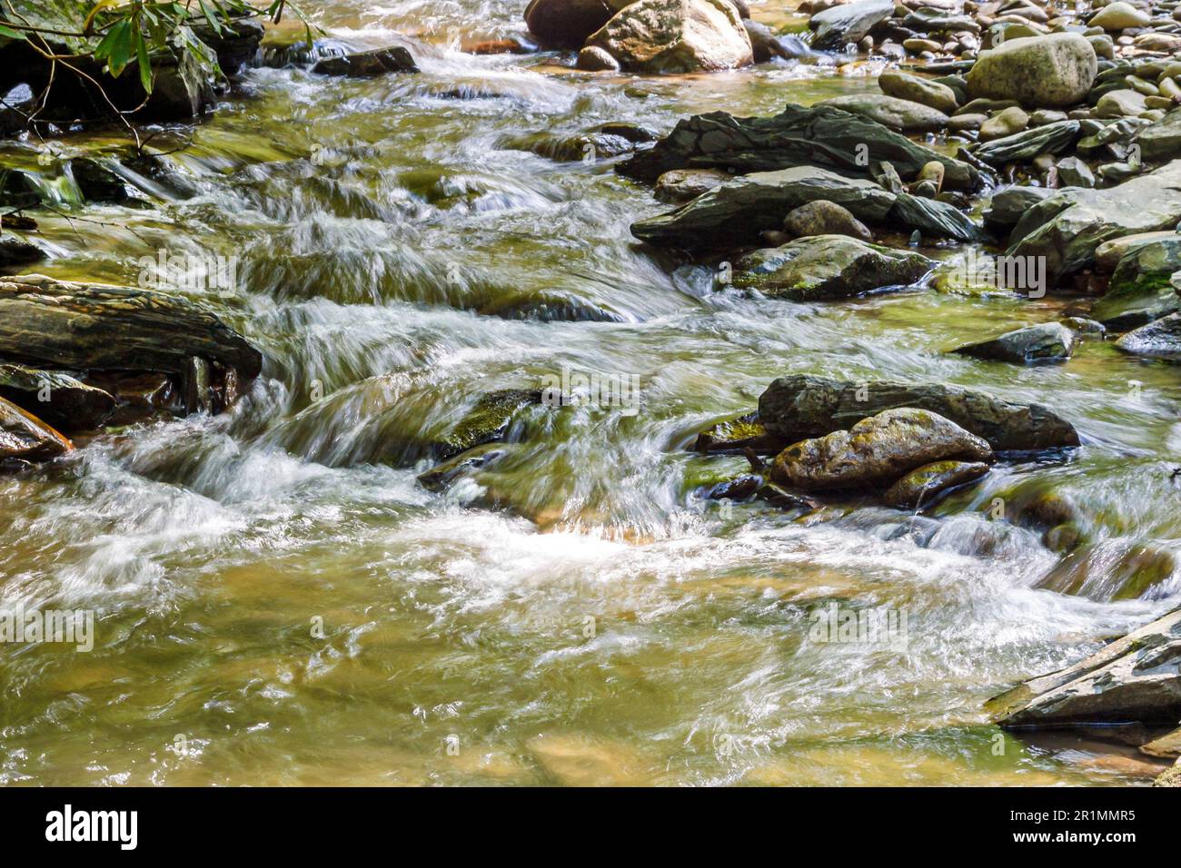 Tennessee Great Smoky Mountains National Park, terra federale, natura, naturale, paesaggio, campagna, conservazione storica, pubblico, ricreazione, i visitatori viaggio Foto Stock