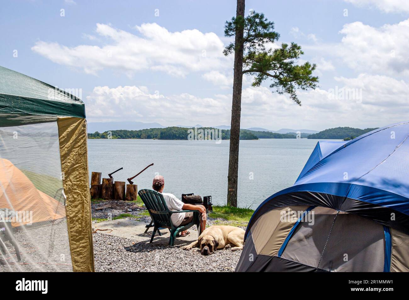 Sevierville Tennessee, TVA Douglas Lake, camper campeggio acqua paesaggio natura tenda naturale, Foto Stock
