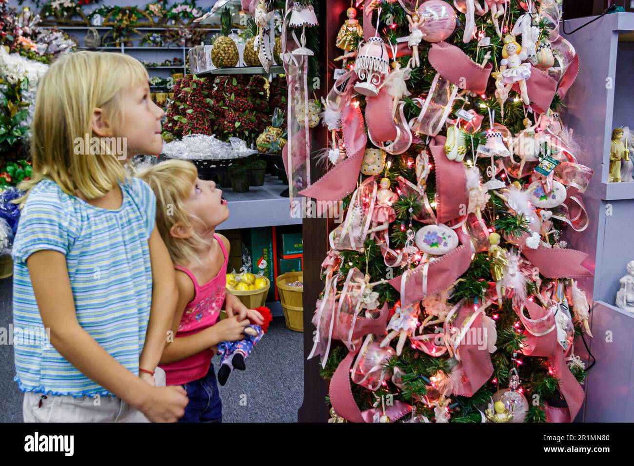 Sevierville Tennessee,Smoky Mountains,suore Vicino Paese prodotti di Natale mostra vendita,mercato,valuta,denaro,pubblicità,spesa,speciale,vi Foto Stock