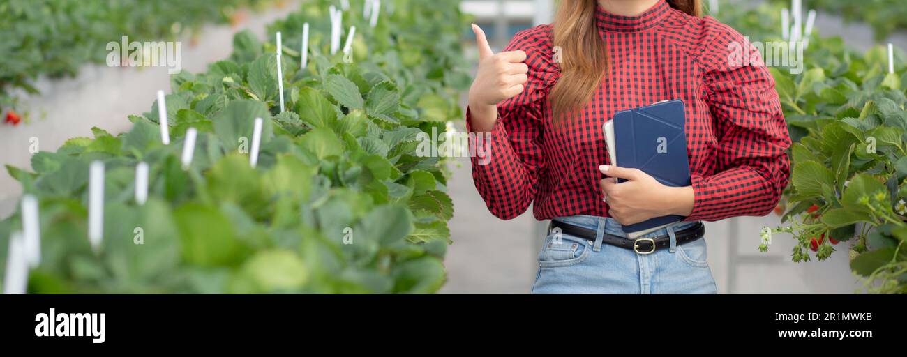 Ritratto imprenditore giovane donna asiatica sorridere e tenendo computer tablet digitale e pollici in fattoria fragola a serra, donna orgogliosa di SM Foto Stock