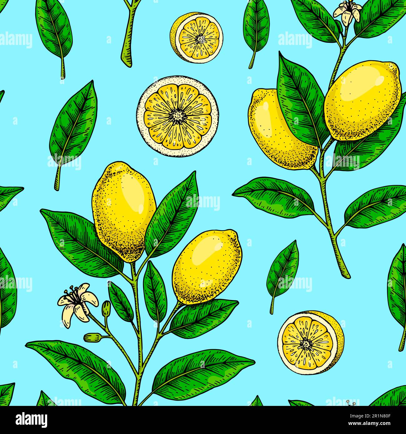 Motivo senza cuciture al limone. Illustrazione vettoriale colorata disegnata a mano nello stile di schizzo. Tropicale esotico agrumi estate sfondo Illustrazione Vettoriale