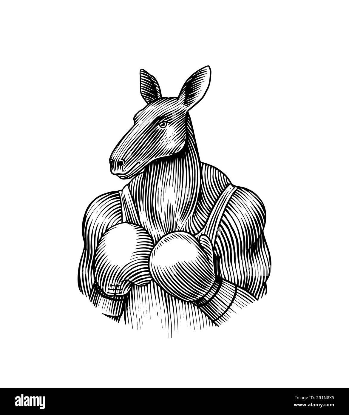 Canguro personaggio boxer in tuta. Uomo di moda in guanti. Animale in retrò Abbigliamento. Stile di incisione vintage. Disegno a mano per tipografia, logo Illustrazione Vettoriale