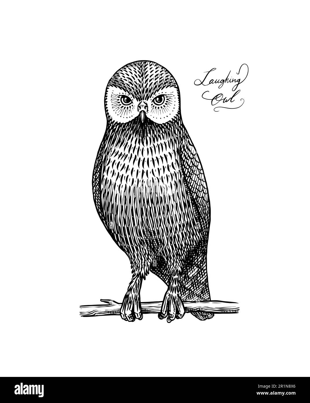 Gufo ridente. Uccello predatore. Disegno a mano inciso vettoriale in legno stile grafico vintage Illustrazione Vettoriale