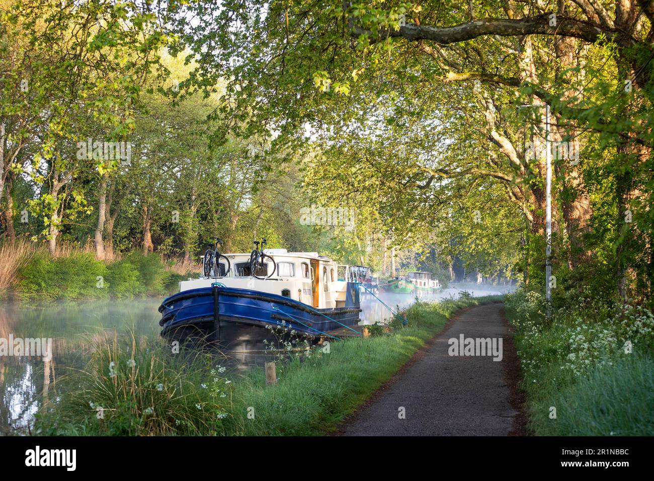 Ormeggiato barca a noleggio al Canal du Midi, mattina presto, Francia Foto Stock