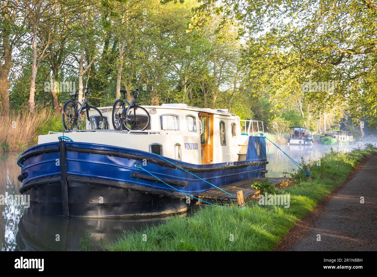 Ormeggiato barca a noleggio al Canal du Midi, mattina presto, Francia Foto Stock
