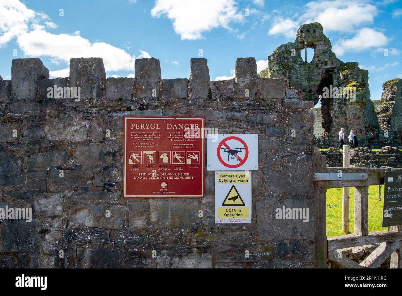 Rhuddlan Castle, situato a Rhuddlan, Denbighshire, Galles. Fu eretta da Edoardo i nel 1277, dopo la prima guerra gallese. Denbighshire, Regno Unito Foto Stock
