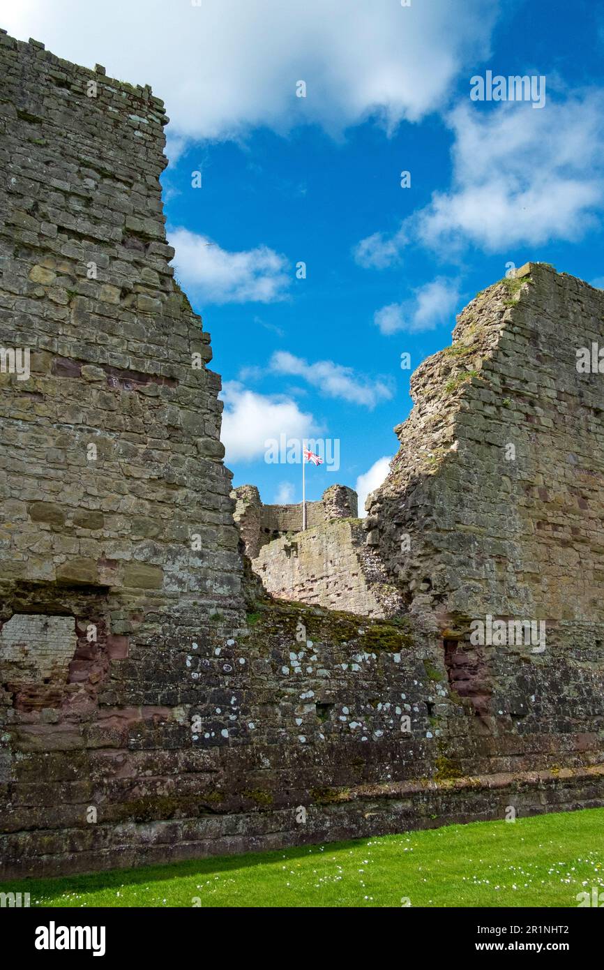 Rhuddlan Castle, situato a Rhuddlan, Denbighshire, Galles. Fu eretta da Edoardo i nel 1277, dopo la prima guerra gallese. Denbighshire, Regno Unito Foto Stock