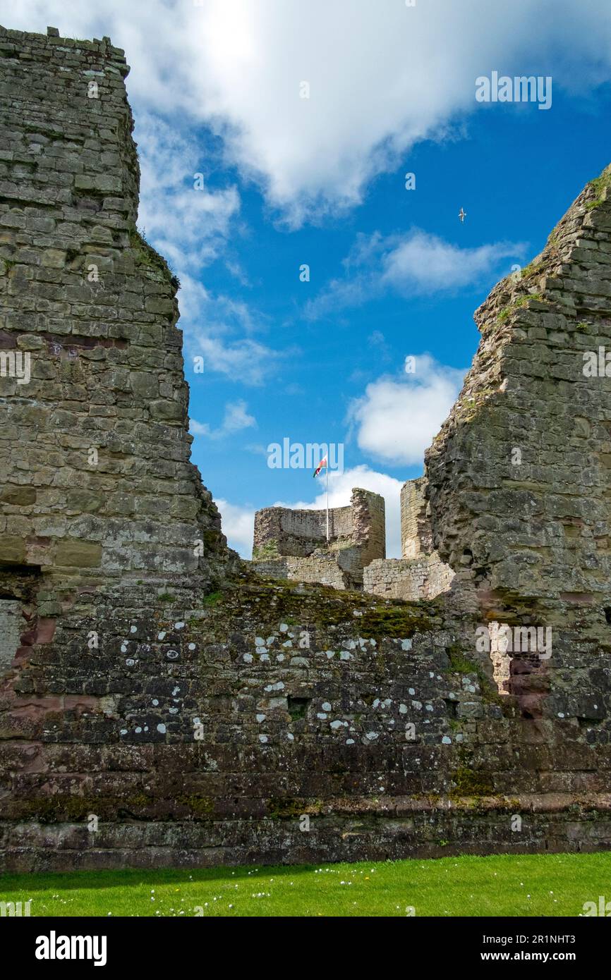 Rhuddlan Castle, situato a Rhuddlan, Denbighshire, Galles. Fu eretta da Edoardo i nel 1277, dopo la prima guerra gallese. Denbighshire, Regno Unito Foto Stock