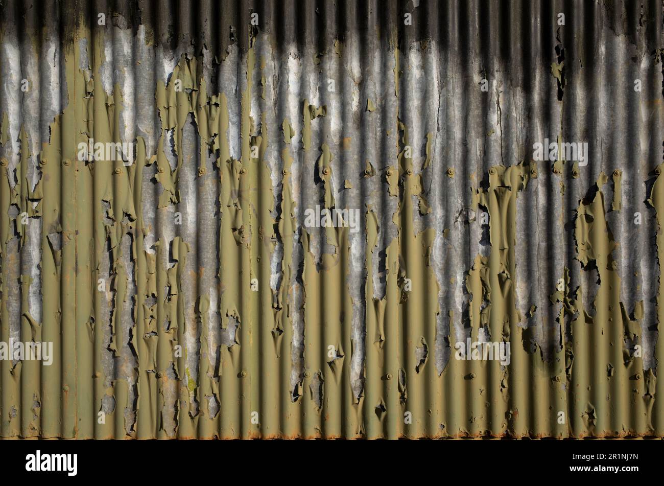 Rivestimento in argento di ferro ondulato patina e vernice verde sbucciata Foto Stock