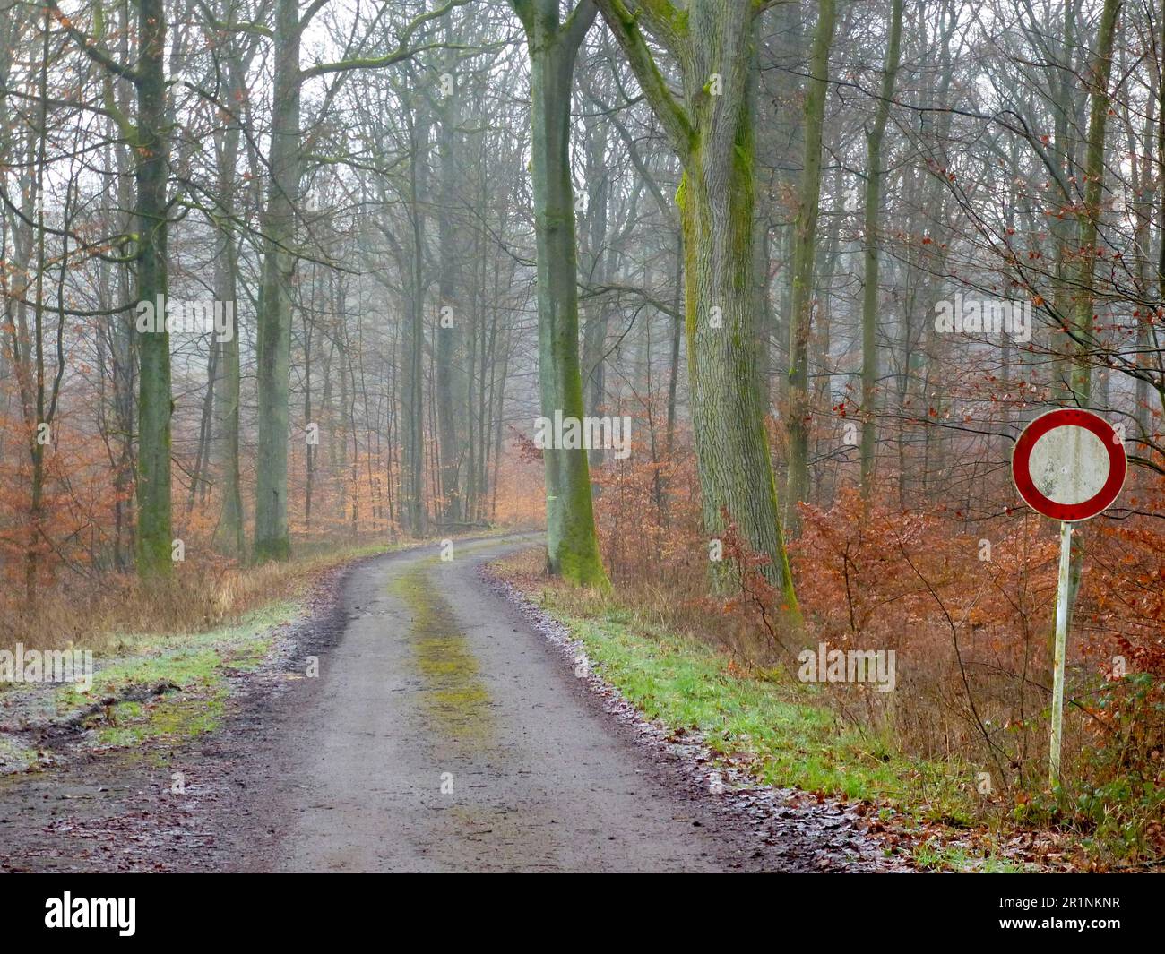 Maulbronn foresta decidua in inverno, sentiero forestale, segno : chiuso a veicoli di tutti i tipi Foto Stock