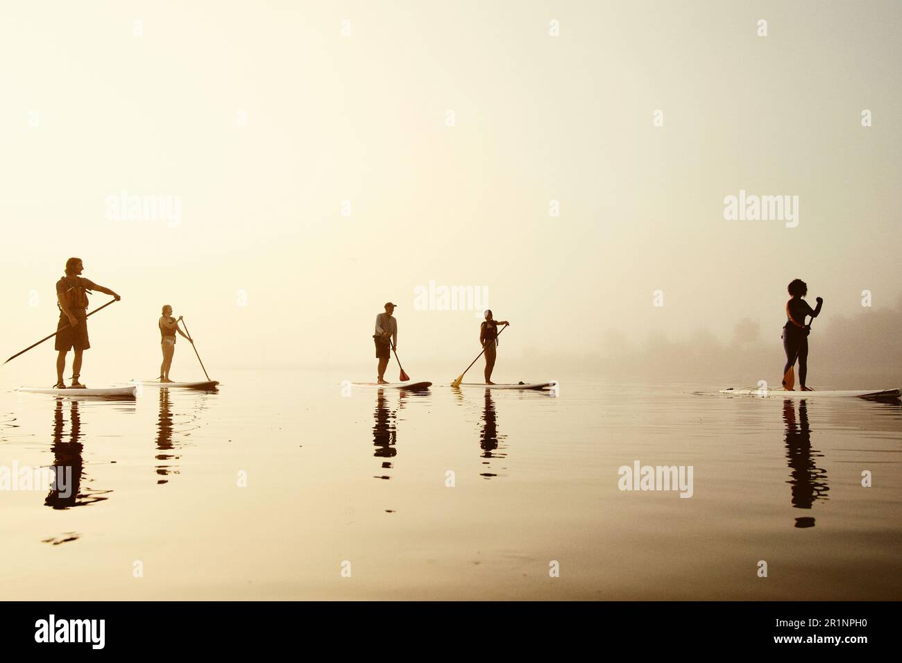 Un gruppo di pagaianti in standup su una mattina nebbiosa all'alba Foto Stock