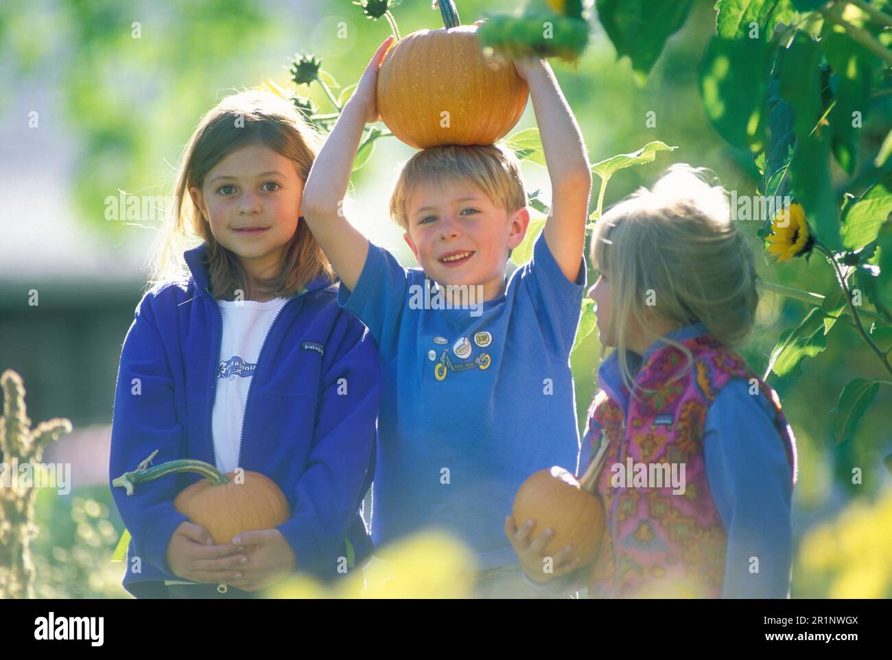 Bambini in una zona di zucca. Foto Stock