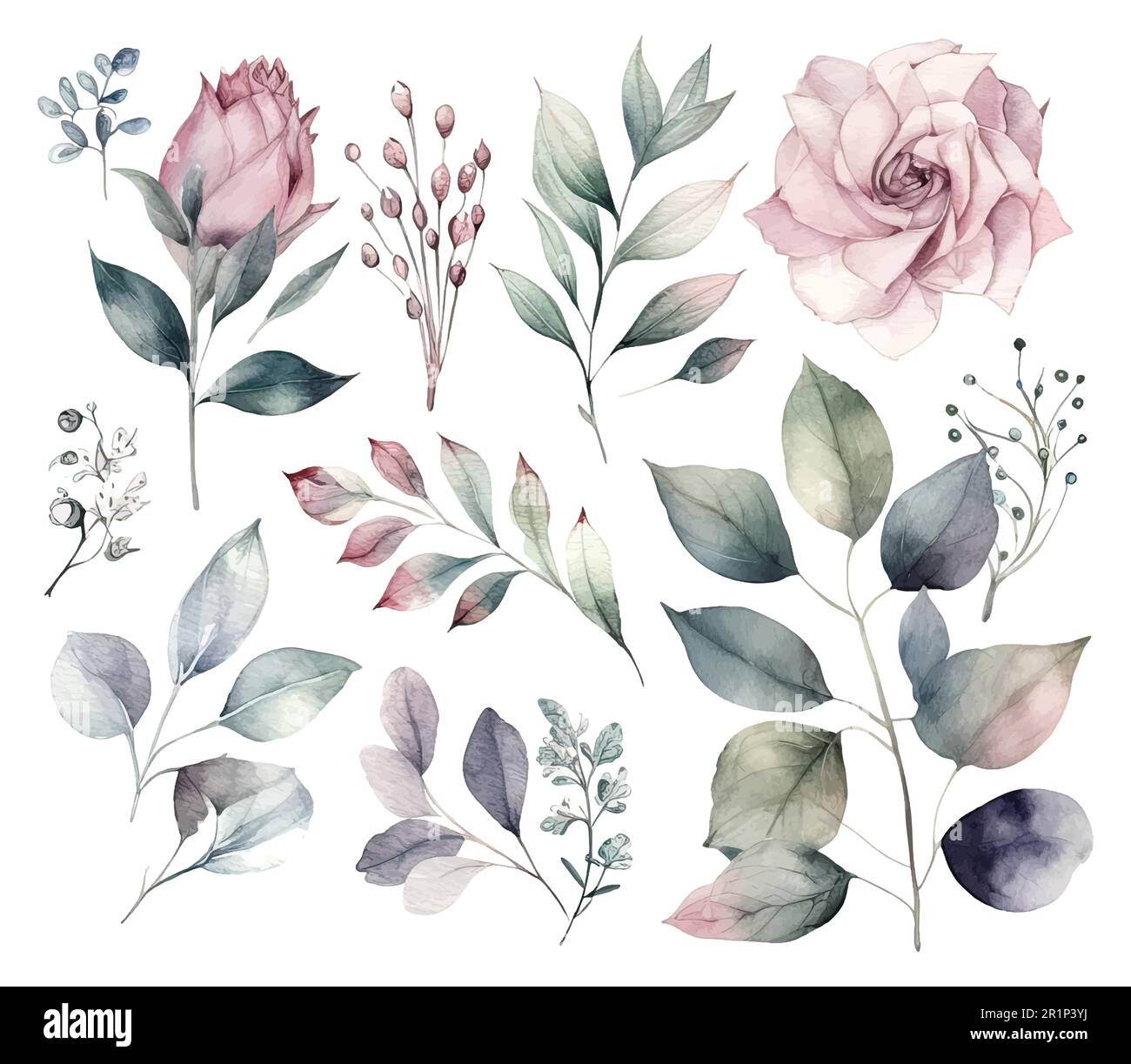 Set di fiori acquerelli foglie e ramoscelli su sfondo bianco Illustrazione Vettoriale
