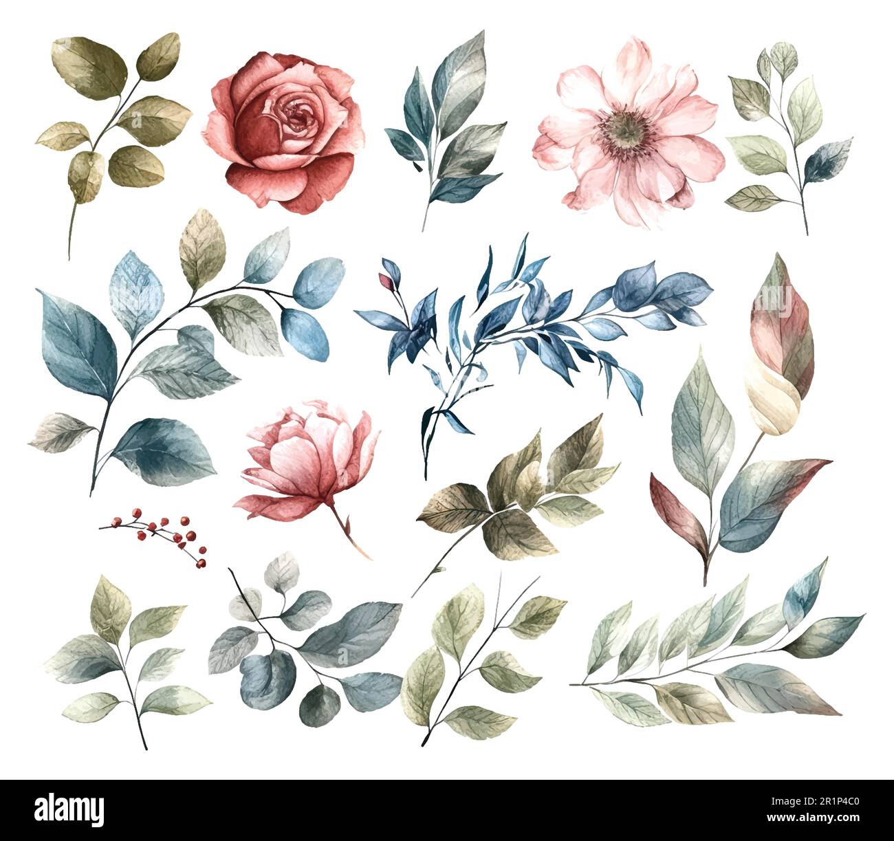 Set di fiori acquerelli foglie e ramoscelli su sfondo bianco Illustrazione Vettoriale
