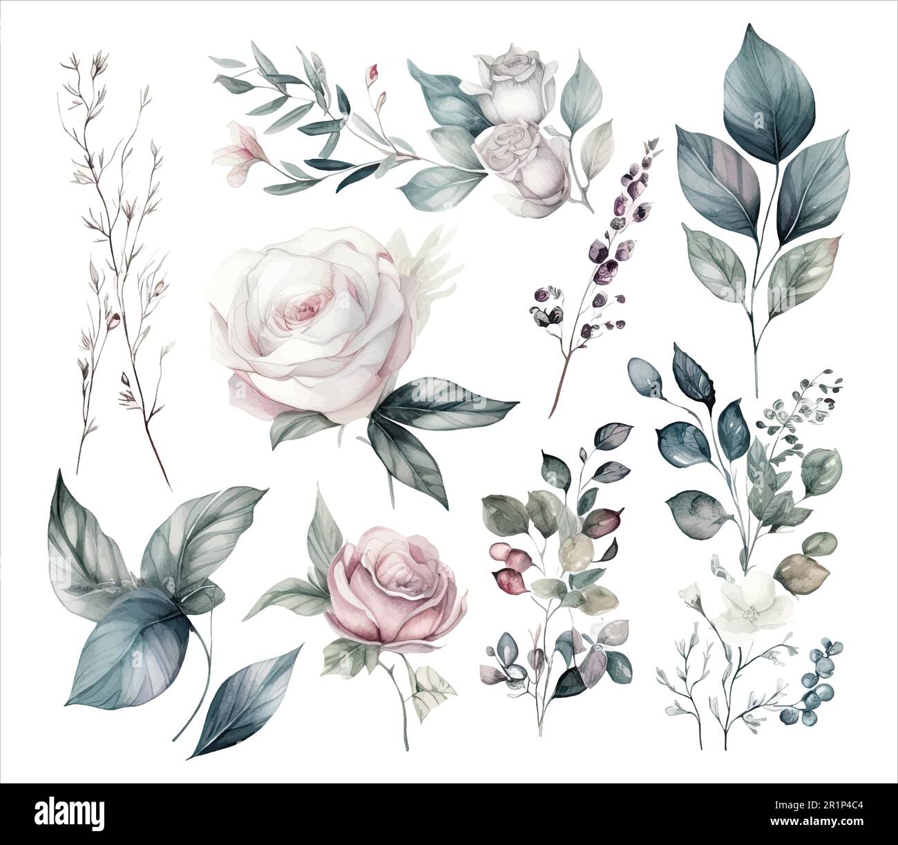 Set di fiori acquerelli foglie e ramoscelli su sfondo bianco Illustrazione Vettoriale