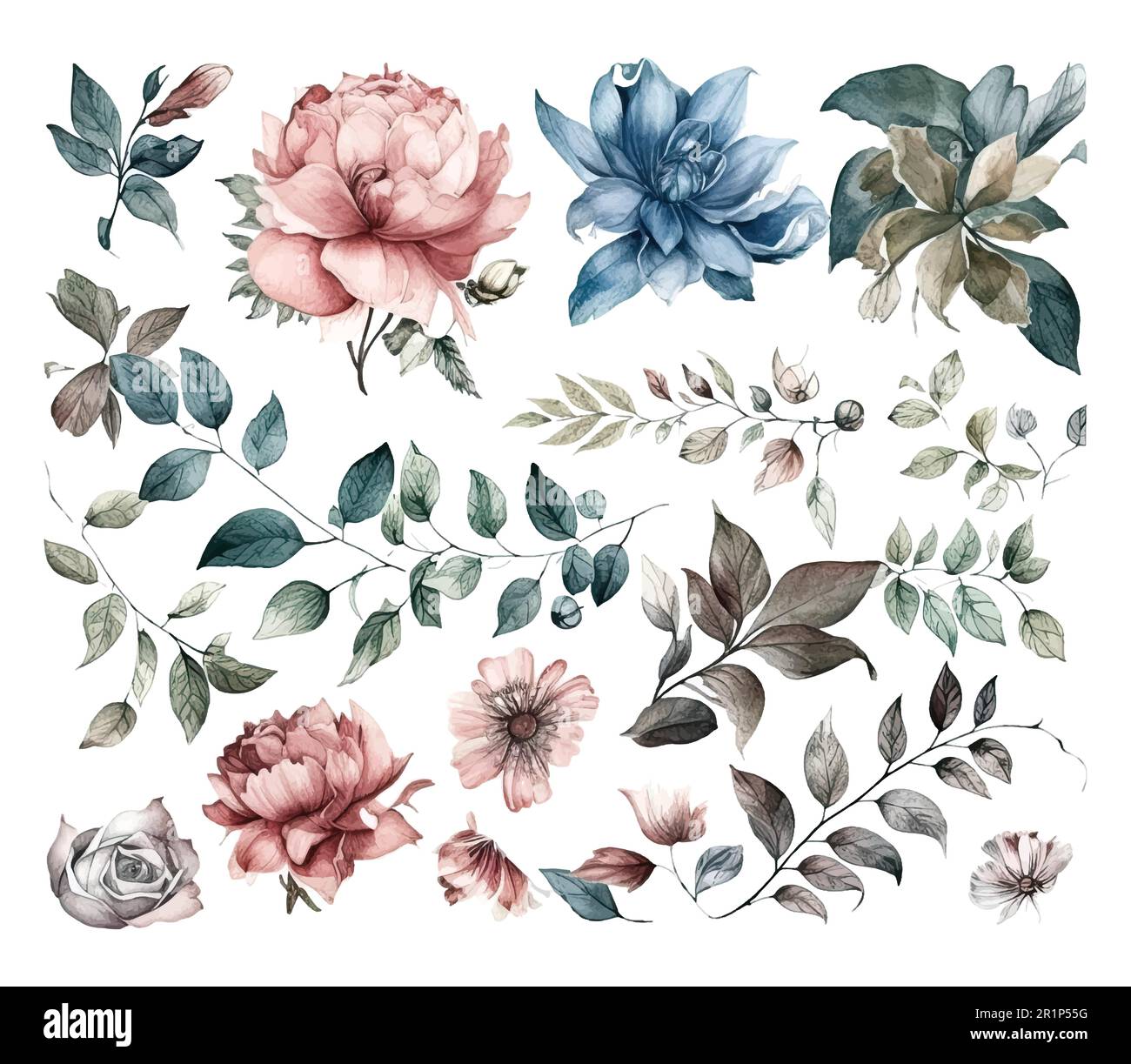 Set di fiori acquerelli foglie e ramoscelli su sfondo bianco Illustrazione Vettoriale