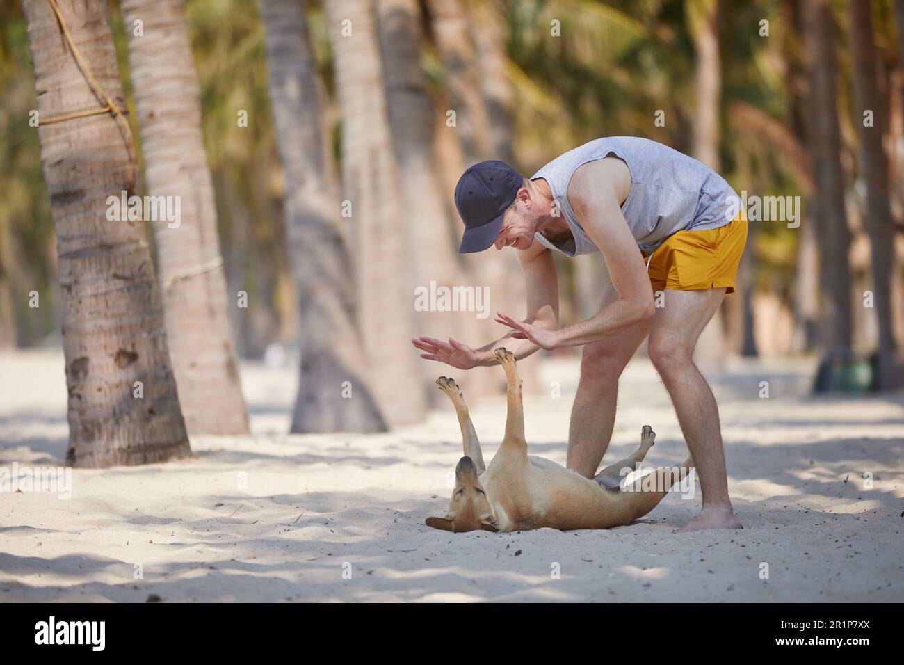 Uomo che gioca con un cane felice sulla bellissima spiaggia di sabbia sotto le palme. Foto Stock