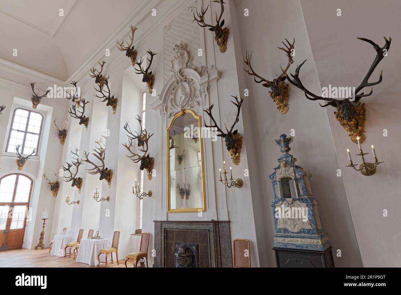 Castello di Moritzburg, sala da pranzo storica, collezione di trofei con corna di cervi, Moritzburg, Sassonia, Germania Foto Stock