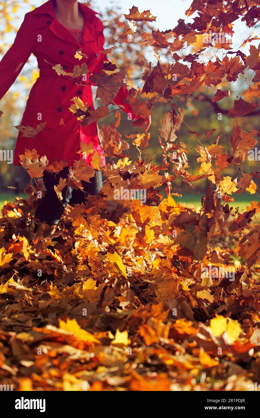 Autunno, Donna, foglie Foto Stock