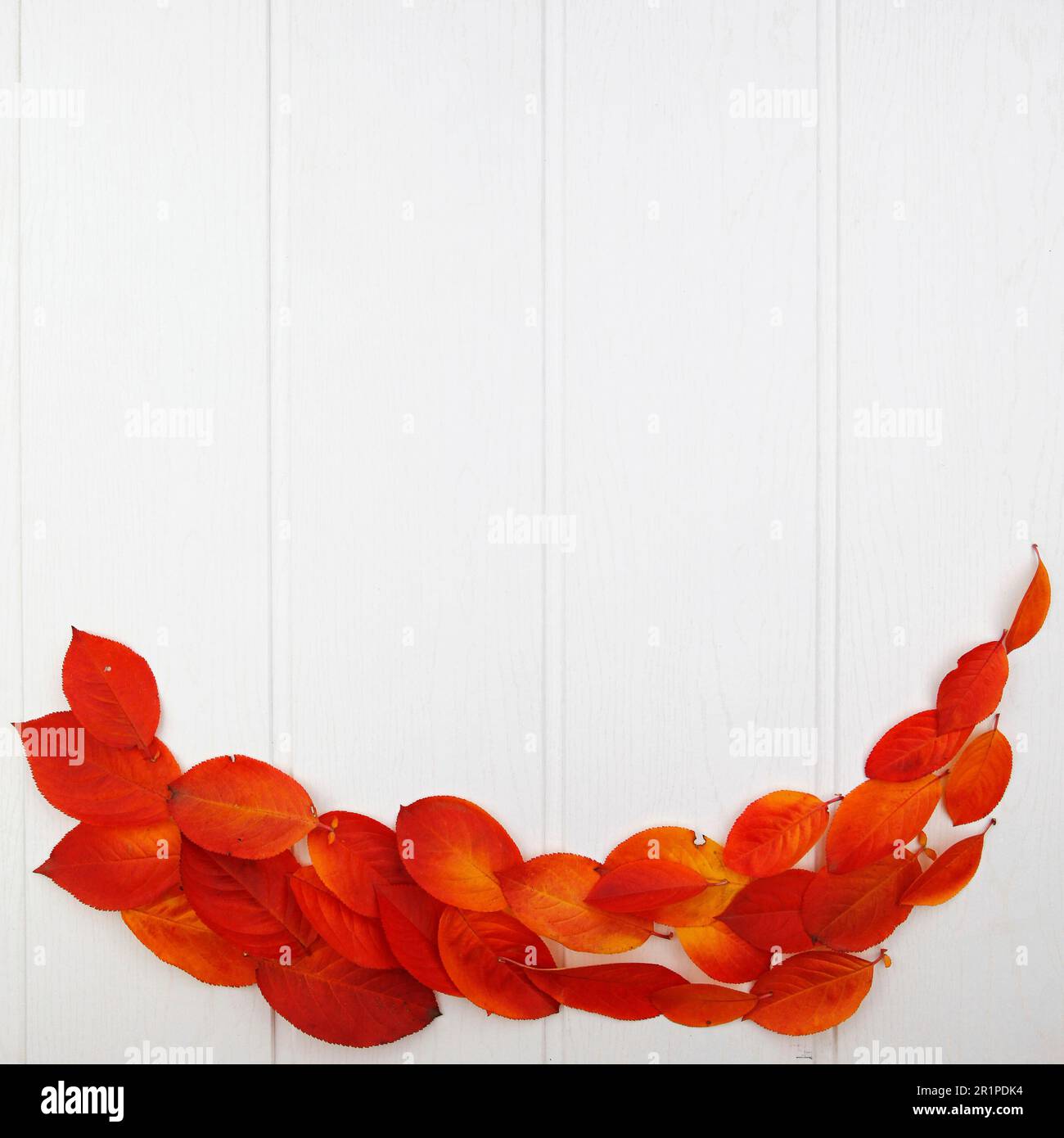 Autunno, foglie, sistemazione, vita ferma Foto Stock