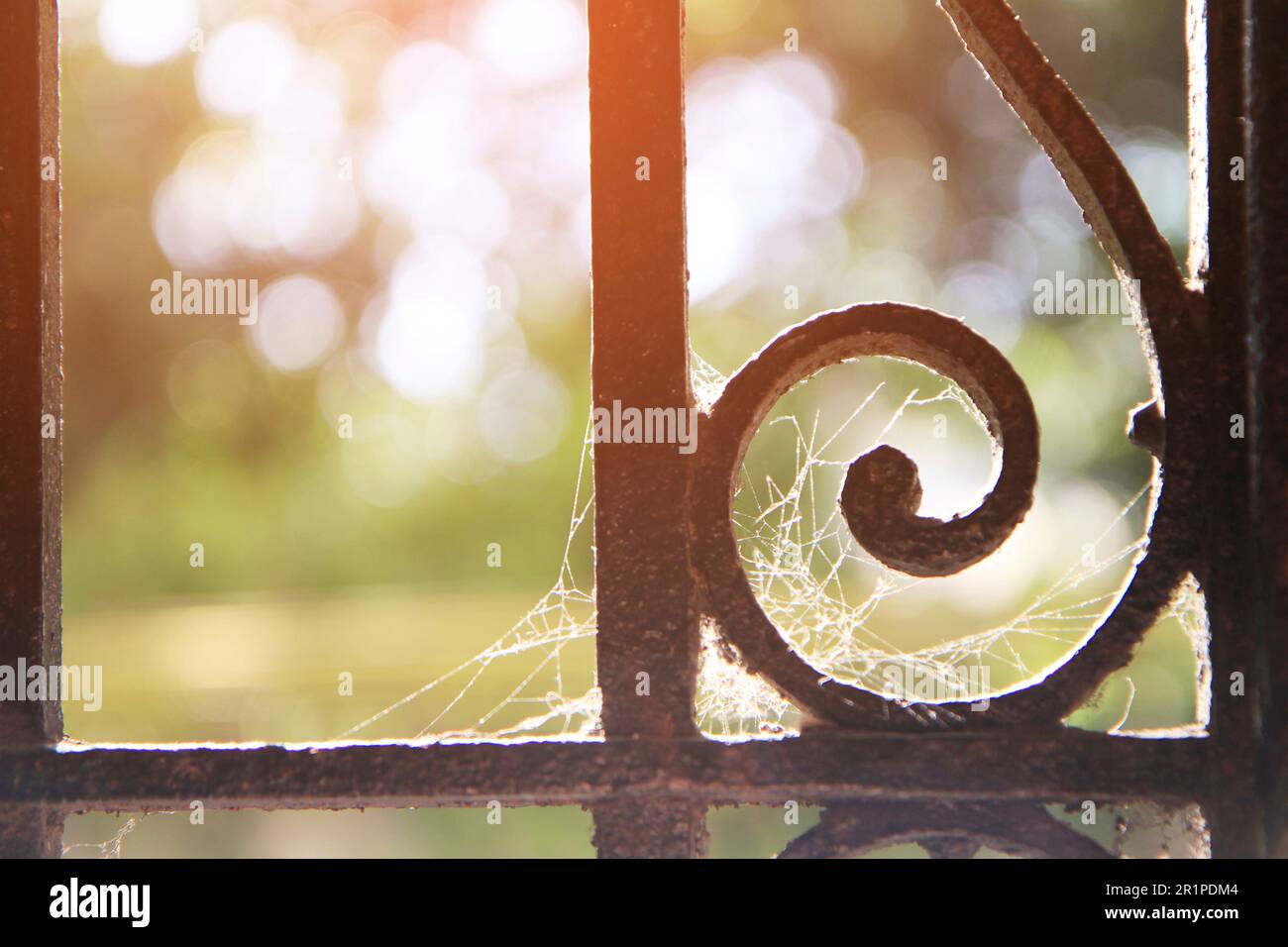 Ringhiera, ornamento, ragnatela Foto Stock