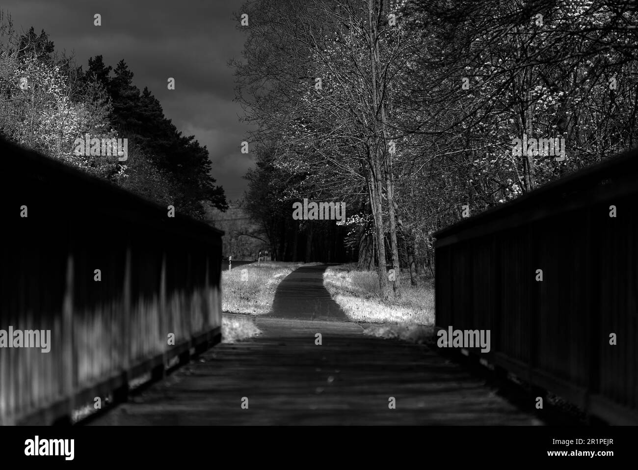 Ponte di legno su un percorso ciclabile tra due città, nitidezza sullo sfondo, nitidezza selettiva, profondità di campo poco profonda, bokeh sfocato, fotografia in bianco e nero Foto Stock