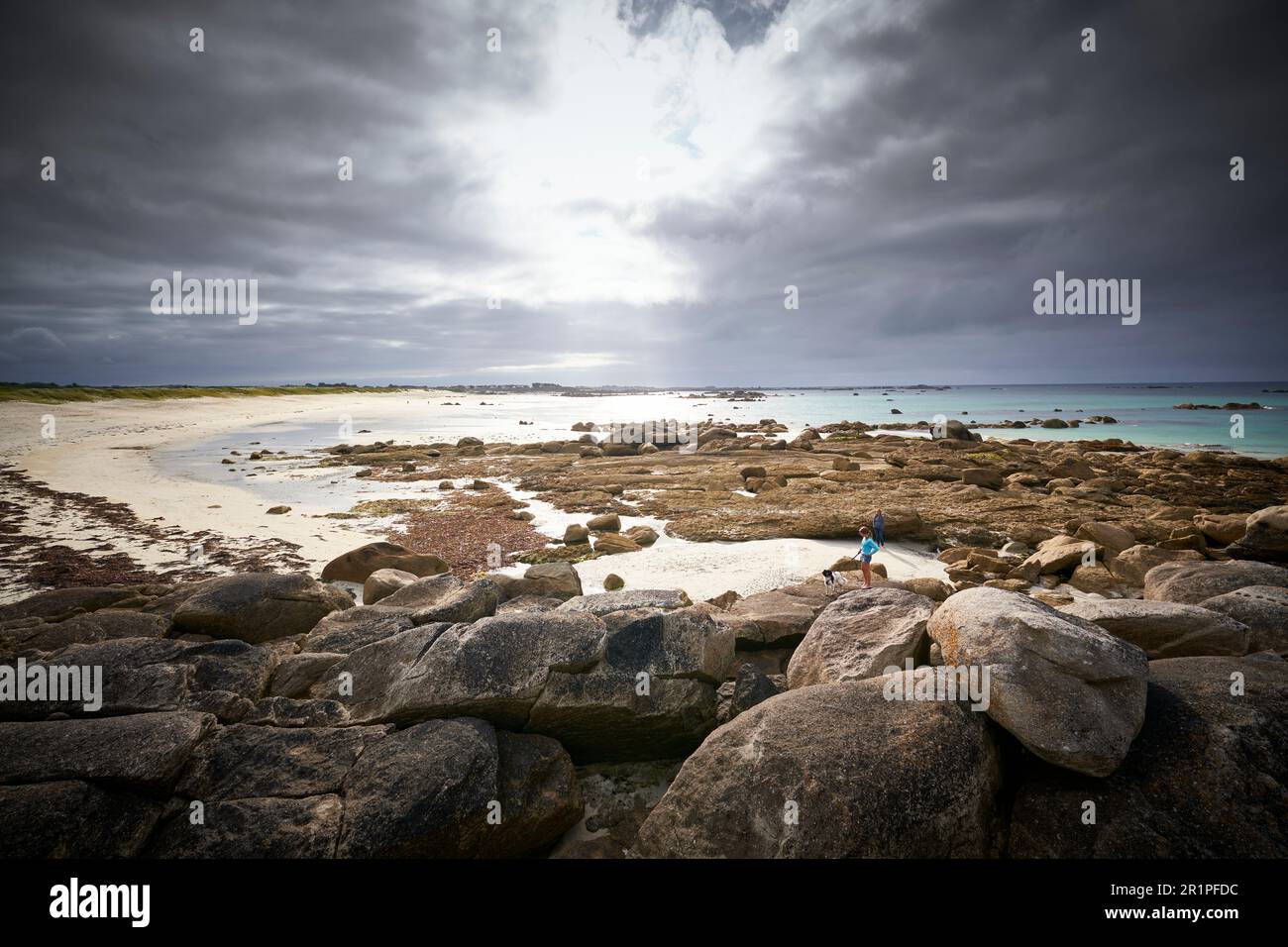 Francia, Bretagna, spiaggia Plage des Chardons Bleus, Cote des Abers Foto Stock