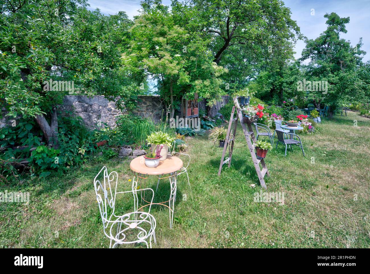 Giardino del monastero, Propstei Zella, giardino, botanica, estate, Vista sul villaggio, estate, Zella, Rhön, Wartburgkreis, Turingia, Germania, Europa, Foto Stock