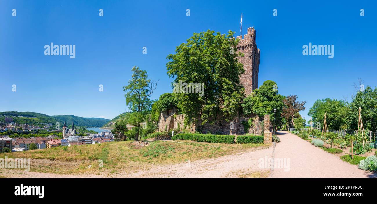 Bingen am Rhein, Castello di Burg Klopp, oggi Municipio di Rheintal, Renania-Palatinato, Germania Foto Stock