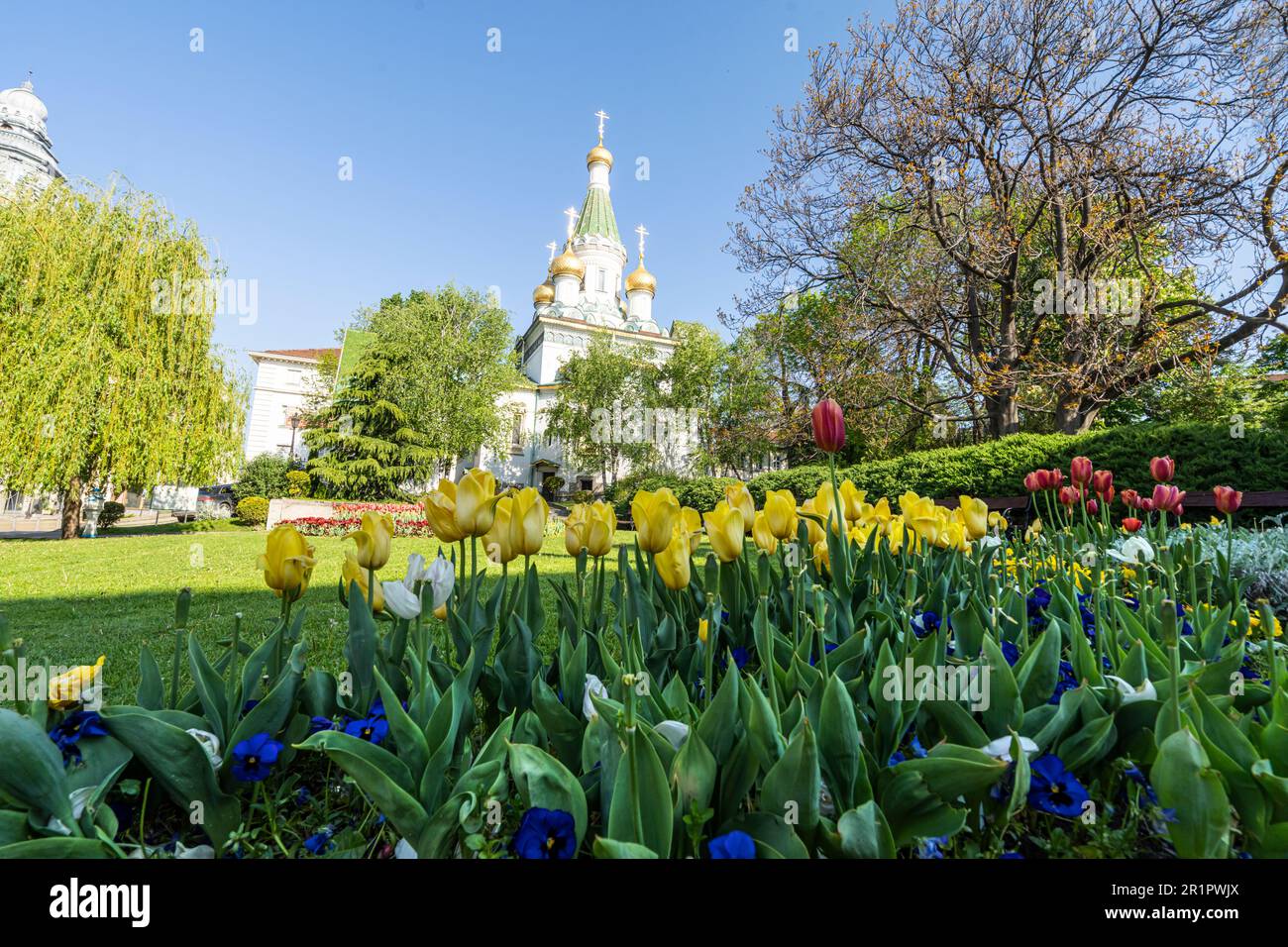 Sofia, Bulgaria. Maggio 2023. Tulipani colorati in un parco del centro città con le cupole del St La chiesa di Nicholas sullo sfondo Foto Stock