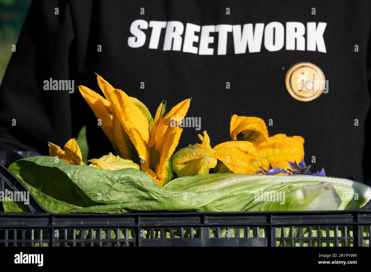 Italia, Trentino-Alto Adige, Alto Adige - Alto Adige, Merano, Castel Fragsburg, Ristorante Prezioso by Chef de cuisine Egon Heiss, cucina vegana con prodotti di origine animale ingredienti gratuiti, giardino privato, giardino dell'anima, raccolta Foto Stock