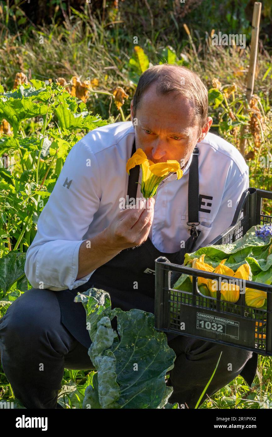 Italia, Trentino-Alto Adige, Alto Adige - Alto Adige, Merano, Castel Fragsburg, Ristorante Prezioso by Chef de cuisine Egon Heiss, cucina vegana con prodotti di origine animale ingredienti gratuiti, giardino privato, giardino dell'anima, raccolta Foto Stock