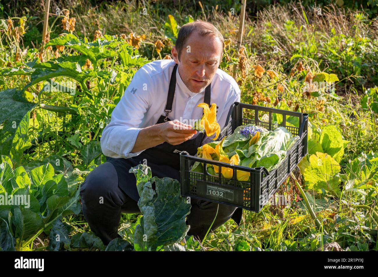 Italia, Trentino-Alto Adige, Alto Adige - Alto Adige, Merano, Castel Fragsburg, Ristorante Prezioso by Chef de cuisine Egon Heiss, cucina vegana con prodotti di origine animale ingredienti gratuiti, giardino privato, giardino dell'anima, raccolta Foto Stock