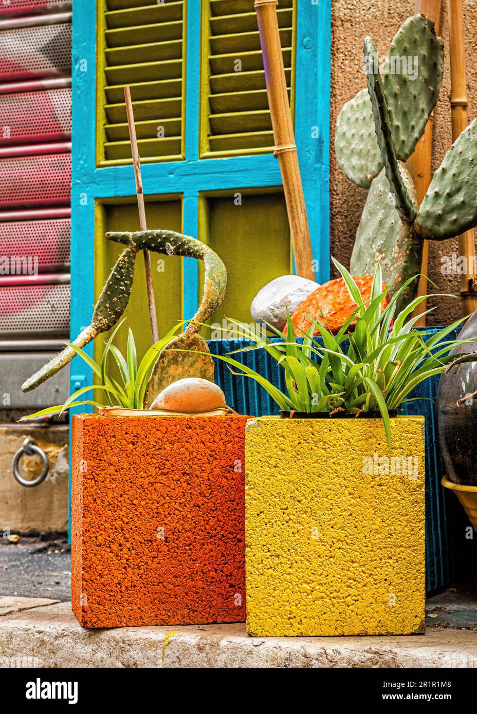 Vasi di fiori colorati nel quartiere le Panier, Marsiglia, Provenza-Alpi-Costa Azzurra, Francia, Foto Stock