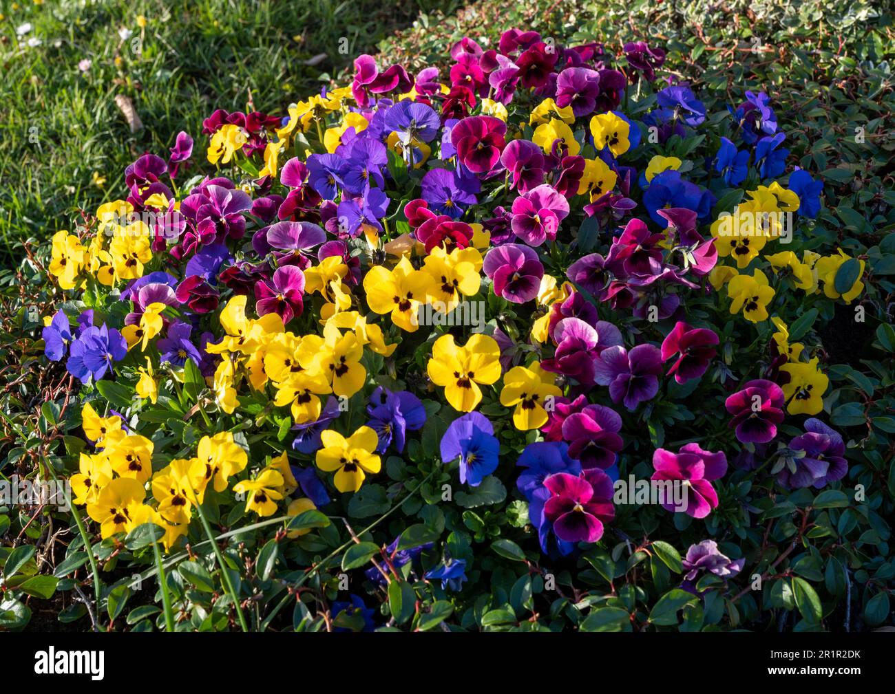 Cimitero, piantagione di primavera, primavera, aprile, colorato Foto Stock