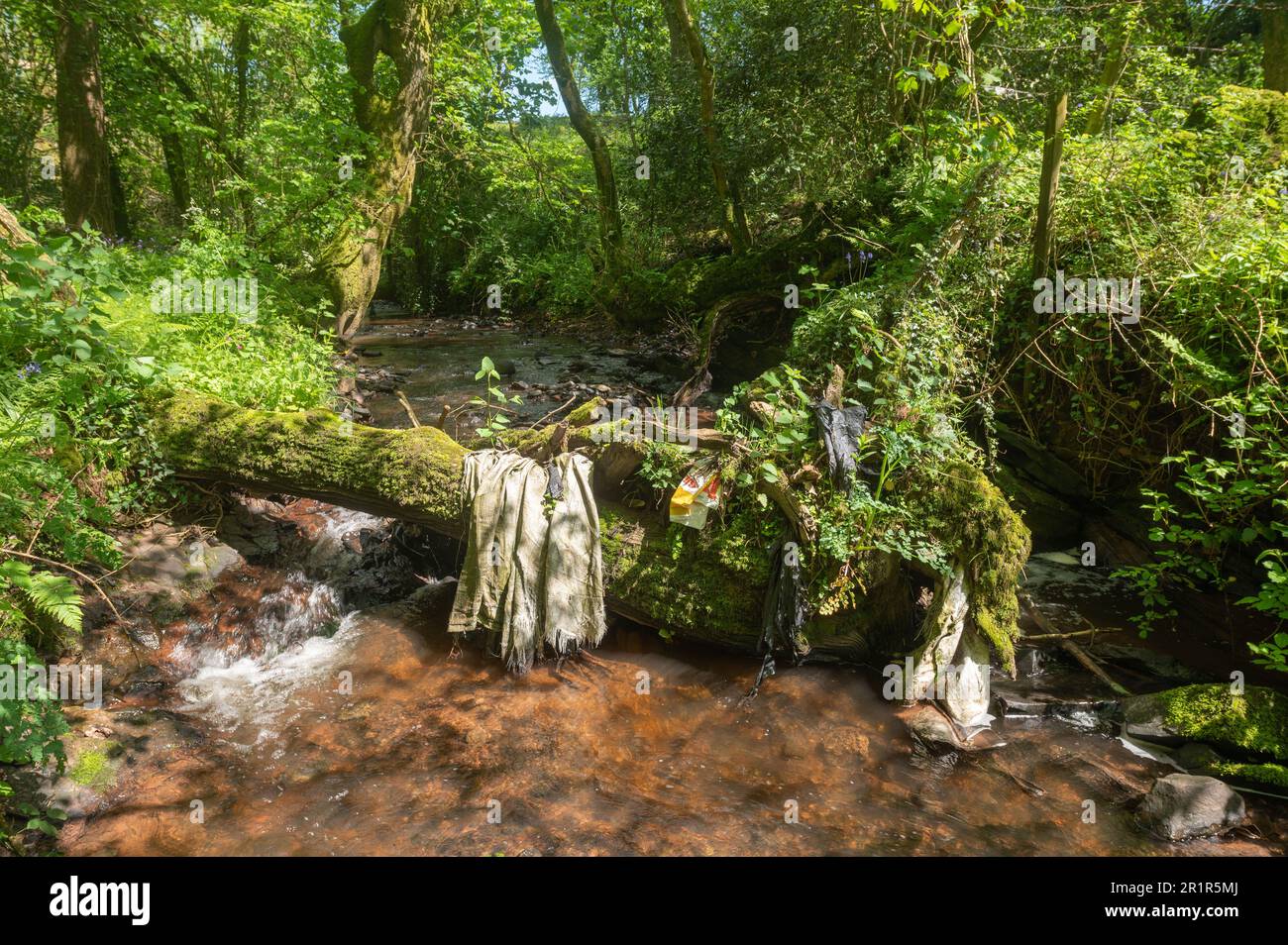 I rifiuti agricoli sono stati lavati e intrappolati in grandi detriti legnosi, nel Carmarthenshire, nel Galles, nel Regno Unito Foto Stock