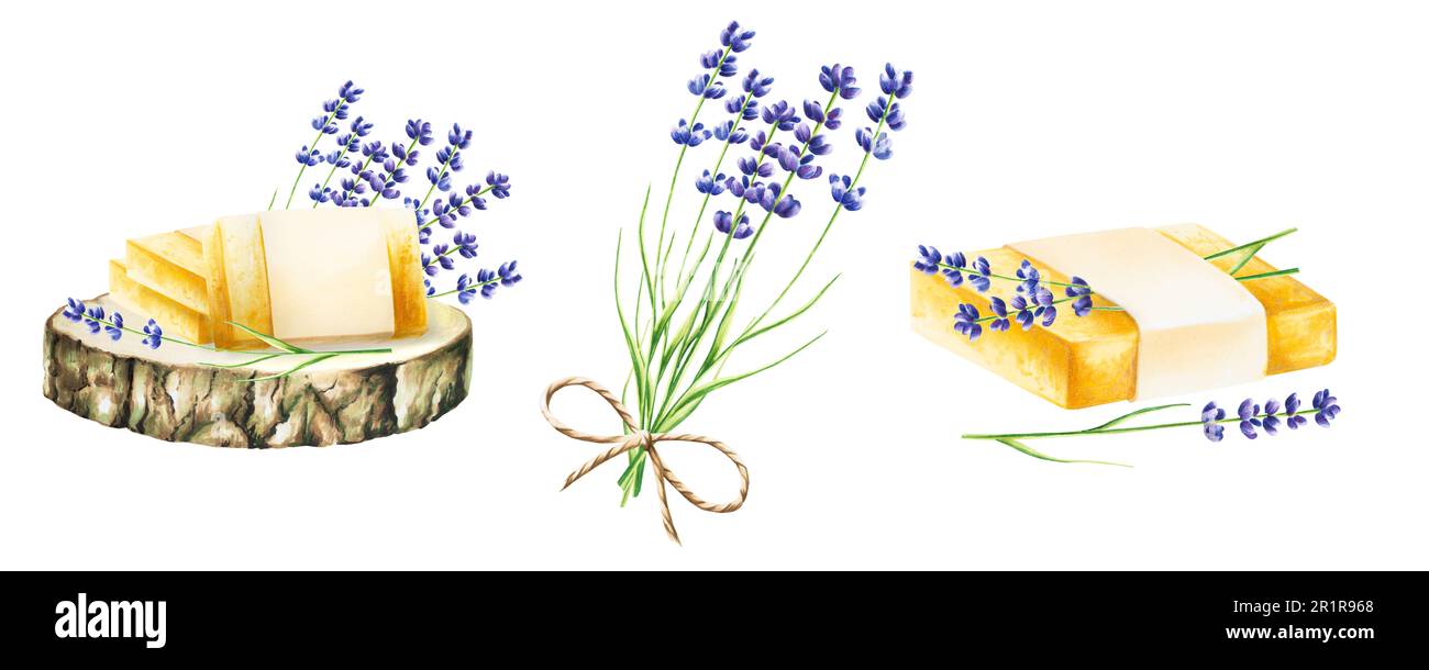 Acquerello naturale Set di sapone fatto a mano con lavanda su una sega di legno tagliata isolato su fondo bianco. Prodotti di bellezza ed elementi botanici, cosmetolo Foto Stock
