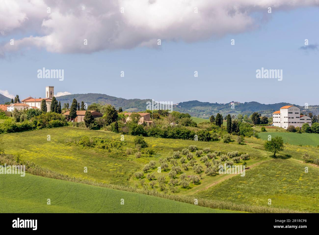 Il paese di Orciano Pisano, Italia, completamente immerso nel verde della campagna toscana in primavera Foto Stock