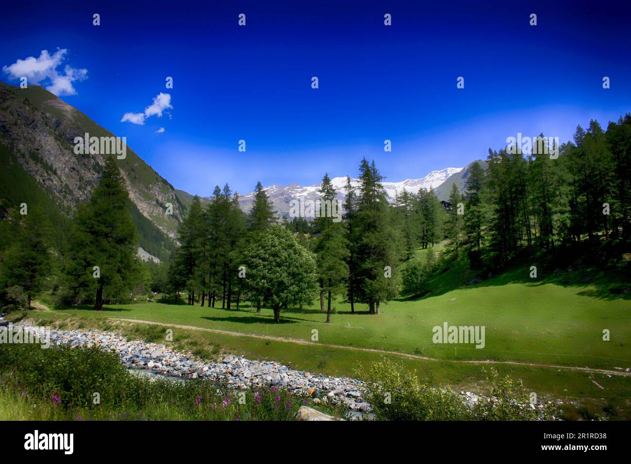 Fiume e sentiero nel paesaggio forestale e montano, Gressoney, Valle d'Aosta, Italia Foto Stock