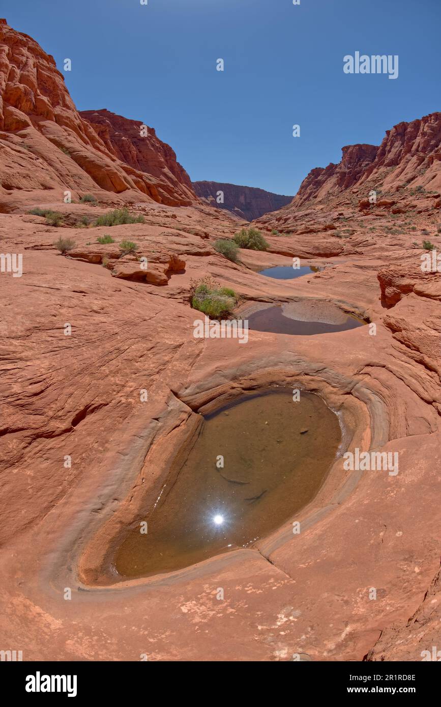 Buche d'acqua nel Ferry Swale Canyon, Glen Canyon National Recreation Area, Utah, USA Foto Stock