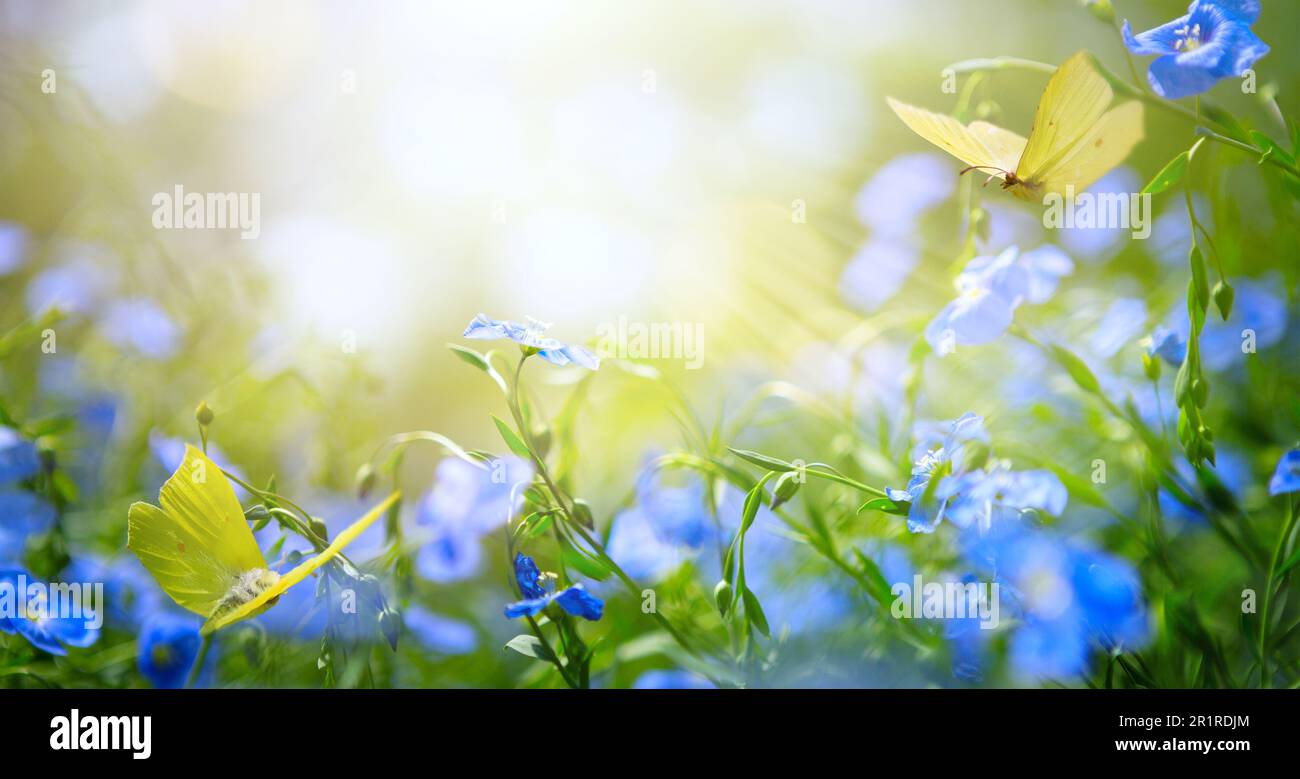 arte astratta primavera o estate sfondo floreale con fiori freschi blu e farfalle volanti Foto Stock