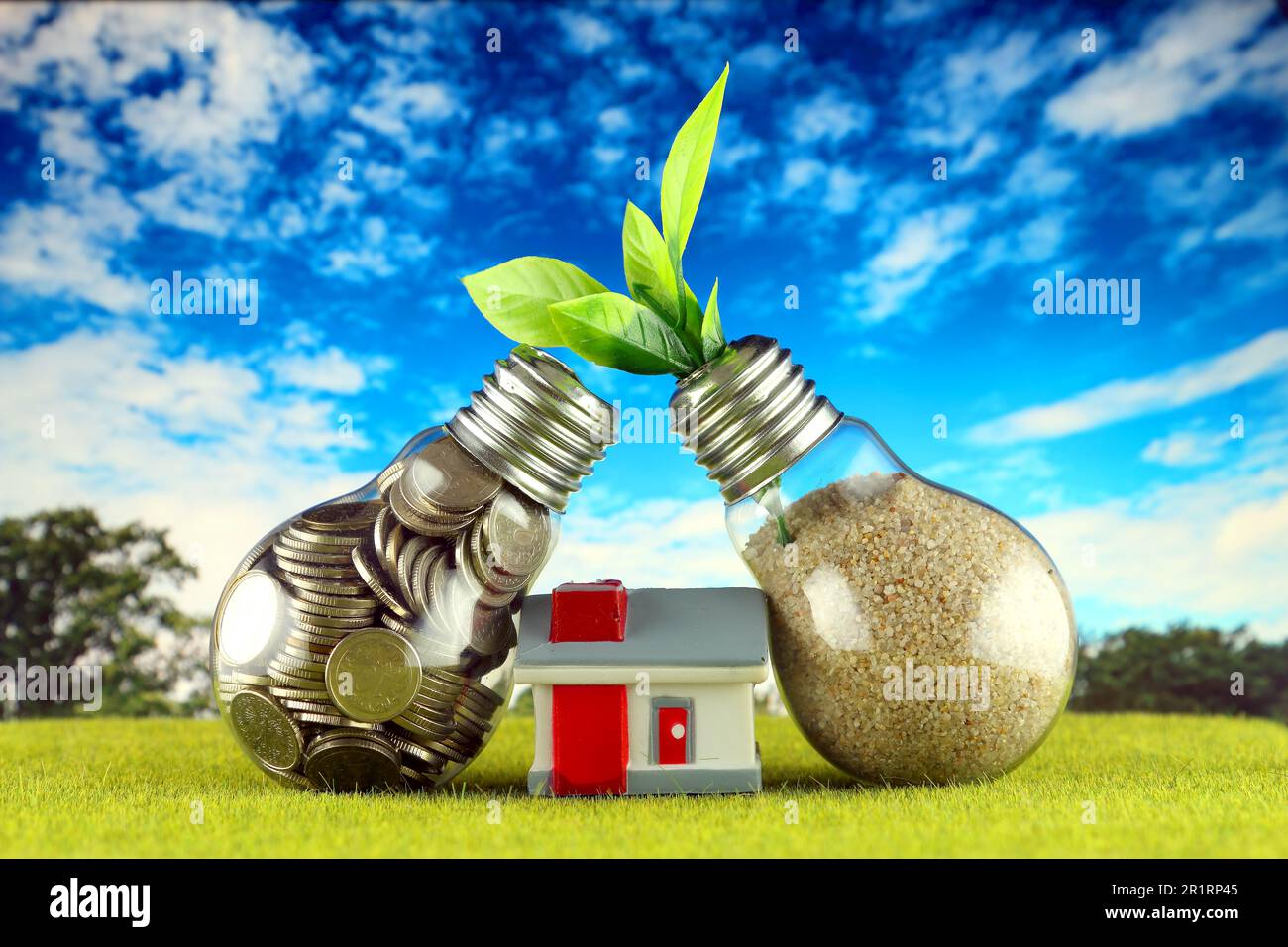 Monete all'interno della lampadina, pianta che cresce all'interno della lampadina e casa in miniatura. Eco-verde energia rinnovabile concetto. Prezzi dell'elettricità, energia s Foto Stock