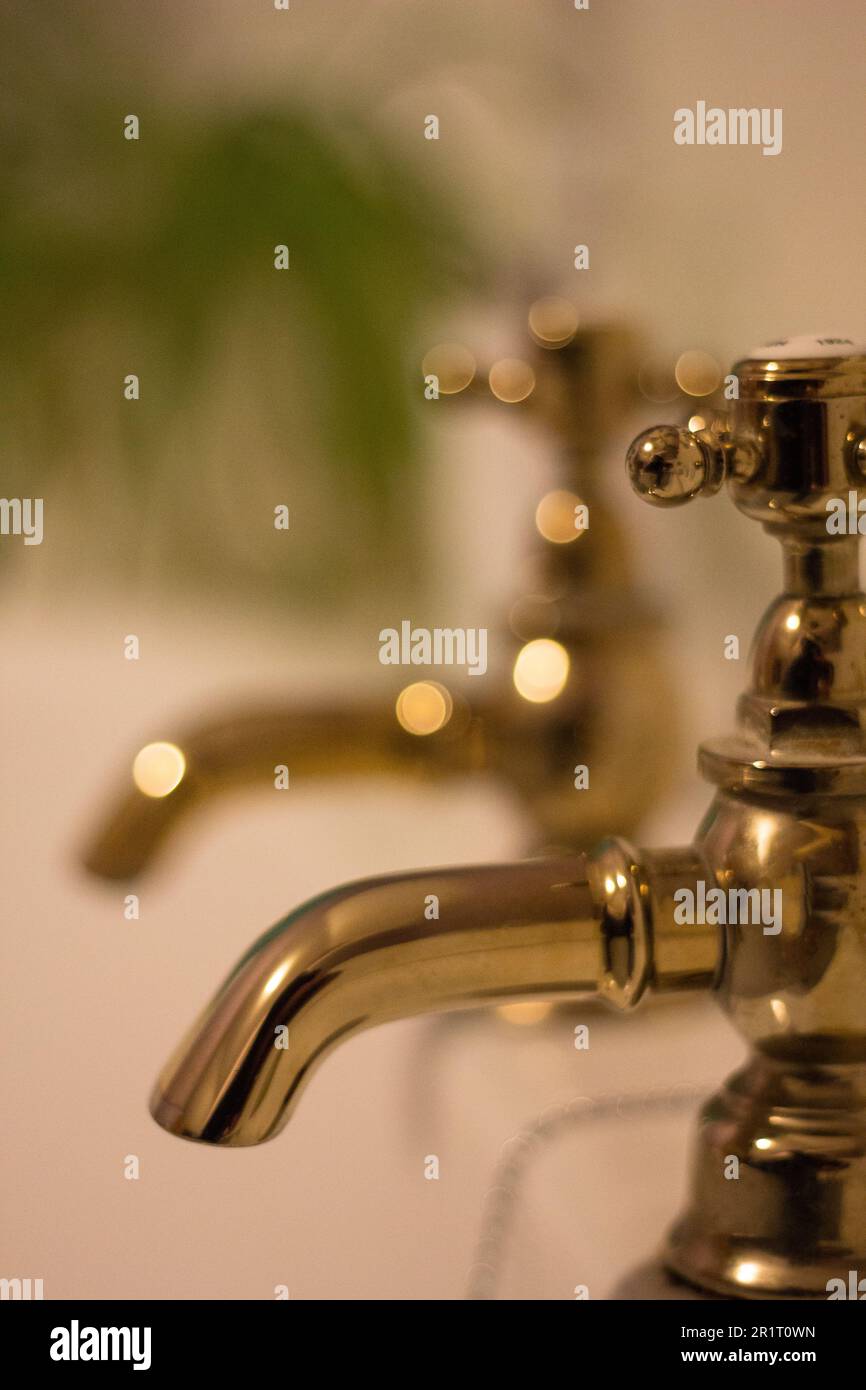Un set di rubinetti in ottone tradizionali con impianto sullo sfondo Foto Stock