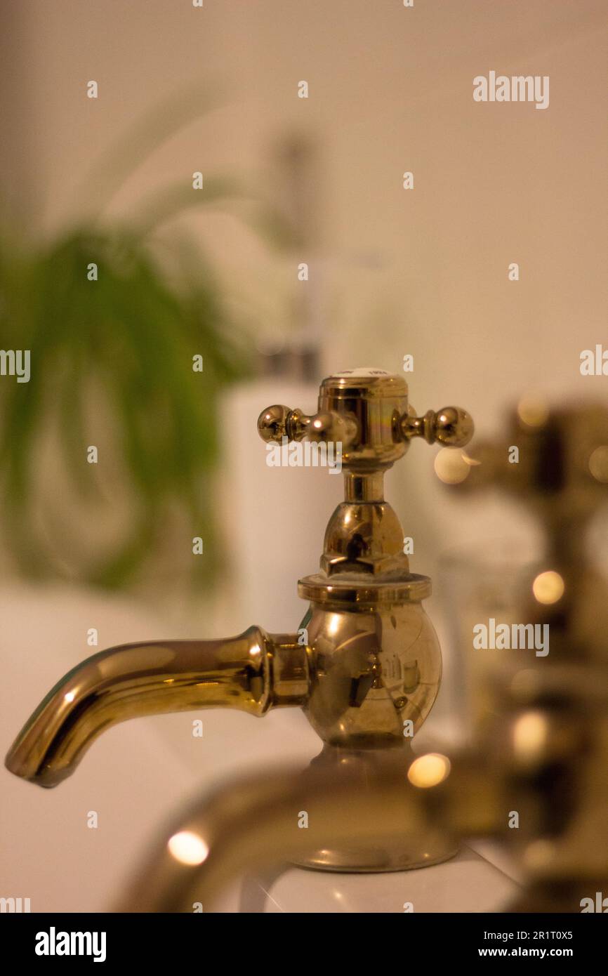 Un set di rubinetti in ottone tradizionali con impianto sullo sfondo Foto Stock
